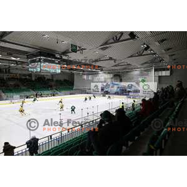 Fans of SZ Olimpija in action during IceHL match between SZ Olimpija and Vienna Capitals in Ljubljana, Slovenia on January 21, 2022