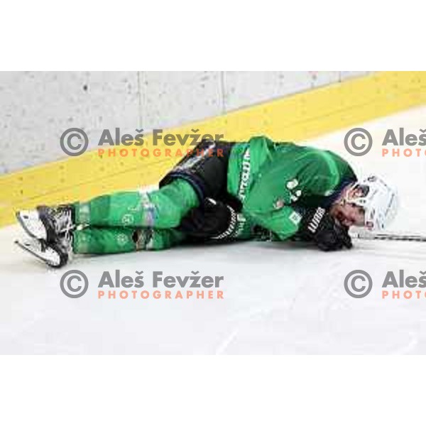 Jaka Sturm of SZ Olimpija in action during IceHL match between SZ Olimpija and Vienna Capitals in Ljubljana, Slovenia on January 21, 2022