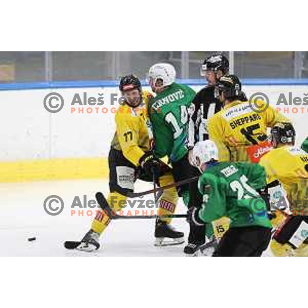 of SZ Olimpija in action during IceHL match between SZ Olimpija and Vienna Capitals in Ljubljana, Slovenia on January 21, 2022