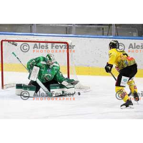 Paavo Holsa of SZ Olimpija in action during IceHL match between SZ Olimpija and Vienna Capitals in Ljubljana, Slovenia on January 21, 2022