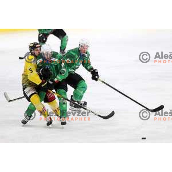 of SZ Olimpija in action during IceHL match between SZ Olimpija and Vienna Capitals in Ljubljana, Slovenia on January 21, 2022