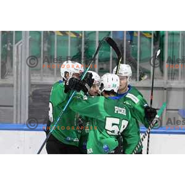 of SZ Olimpija in action during IceHL match between SZ Olimpija and Vienna Capitals in Ljubljana, Slovenia on January 21, 2022