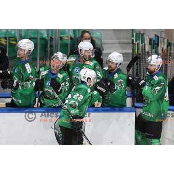 of SZ Olimpija in action during IceHL match between SZ Olimpija and Vienna Capitals in Ljubljana, Slovenia on January 21, 2022