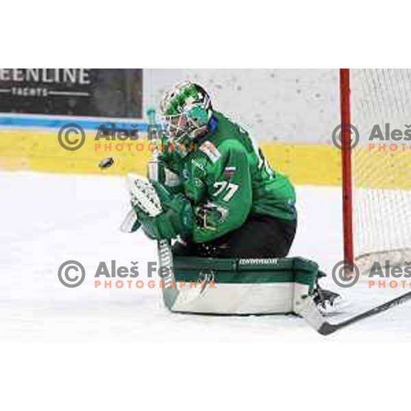 Paavo Holsa of SZ Olimpija in action during IceHL match between SZ Olimpija and Vienna Capitals in Ljubljana, Slovenia on January 21, 2022