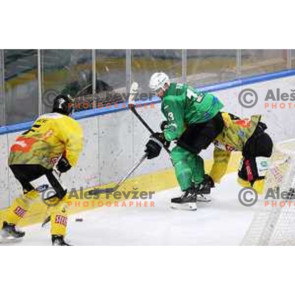 Ziga Pance of SZ Olimpija in action during IceHL match between SZ Olimpija and Vienna Capitals in Ljubljana, Slovenia on January 21, 2022