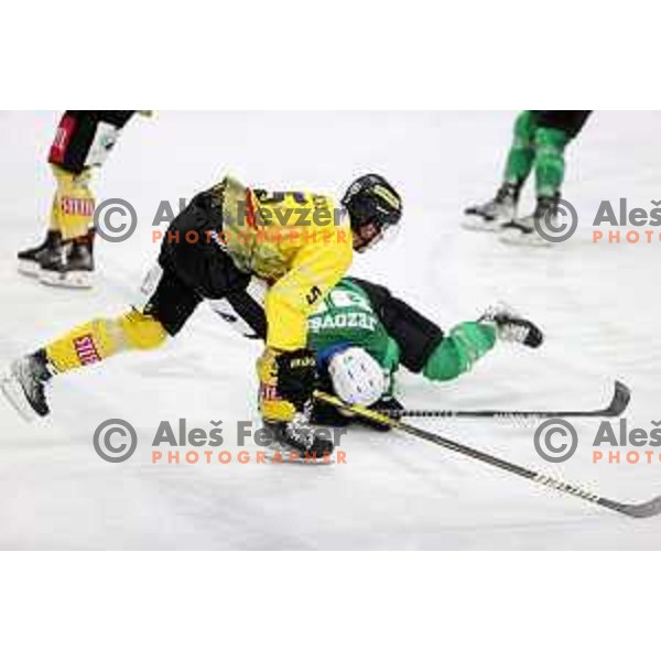 of SZ Olimpija in action during IceHL match between SZ Olimpija and Vienna Capitals in Ljubljana, Slovenia on January 21, 2022