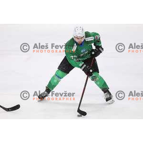 Rok Kapel of SZ Olimpija in action during IceHL match between SZ Olimpija and Vienna Capitals in Ljubljana, Slovenia on January 21, 2022