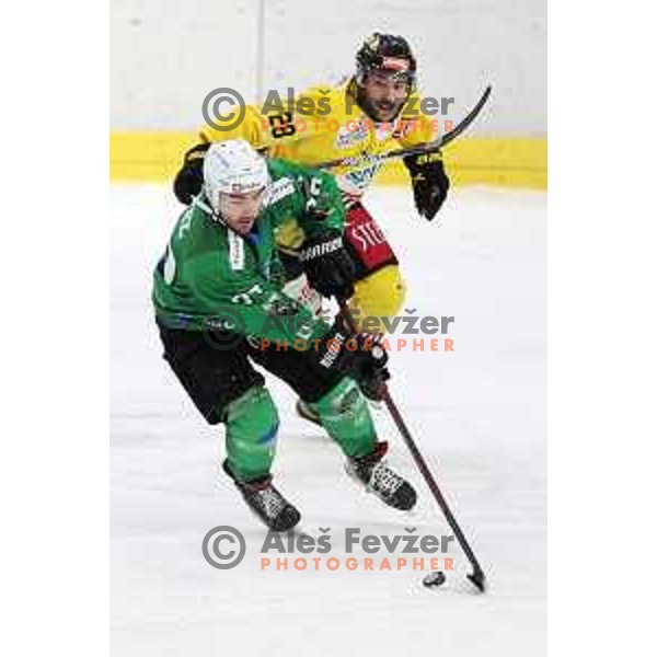 Rok Kapel of SZ Olimpija in action during IceHL match between SZ Olimpija and Vienna Capitals in Ljubljana, Slovenia on January 21, 2022