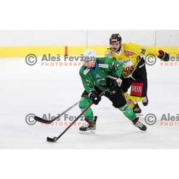 Rok Kapel of SZ Olimpija in action during IceHL match between SZ Olimpija and Vienna Capitals in Ljubljana, Slovenia on January 21, 2022