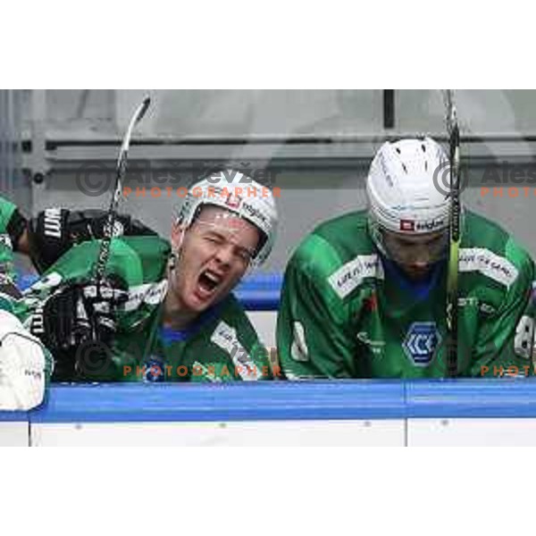 Blaz Tomazevic of SZ Olimpija in action during IceHL match between SZ Olimpija and Vienna Capitals in Ljubljana, Slovenia on January 21, 2022