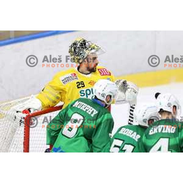 Bernhard Starkbaum during IceHL match between SZ Olimpija and Vienna Capitals in Ljubljana, Slovenia on January 21, 2022