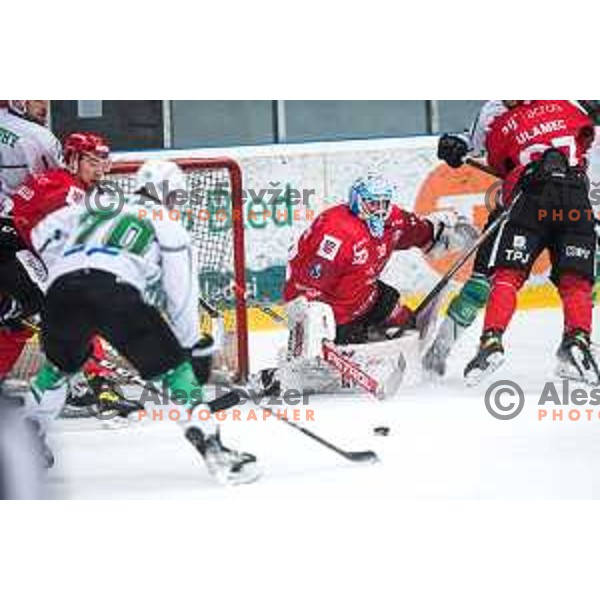Oscar Fröberg in action during semi-final of Slovenian ice-hockey league match between HDD Sij Acroni Jesenice and SZ Olimpija at Jesenice, Slovenia on January 25, 2021