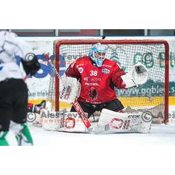 Oscar Fröberg in action during semi-final of Slovenian ice-hockey league match between HDD Sij Acroni Jesenice and SZ Olimpija at Jesenice, Slovenia on January 25, 2021