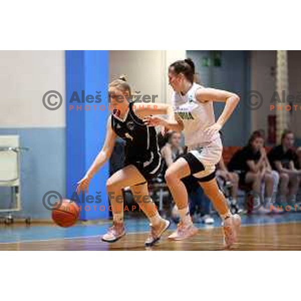 Sara Haralovic and Tara Pulevic in action during 1.SKL women basketball match between Akson Ilirija and VBO Maribor in Ljubljana, Slovenia on January 26, 2022
