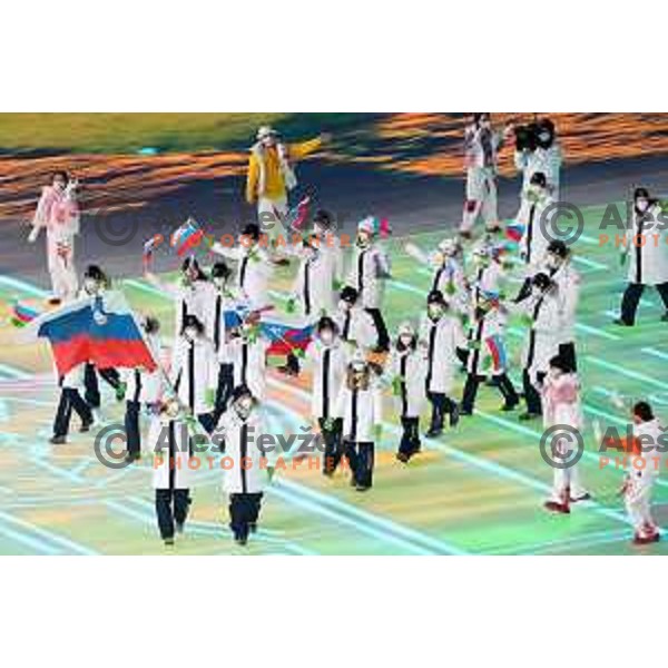 Ilka Stuhec,Rok Marguc and Team Slovenia at Opening Ceremony of Beijing 2022 Winter Olympic Games, China on February 4, 2022