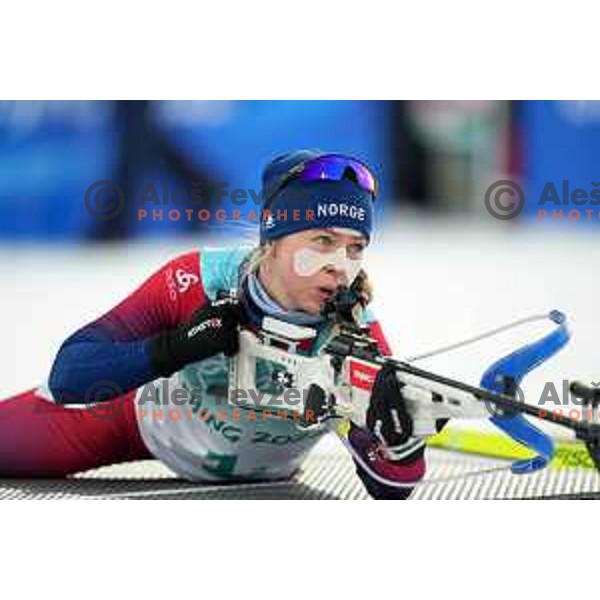 Biathlon Mixed Relay 4x6 km in Zhangjiakou, Beijing 2022 Winter Olympic Games, China on February 5, 2022