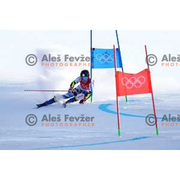 Meta Hrovat of Slovenia skiing in the first run of Women’s Giant Slalom in Yanging National Alpine Centre during Beijing 2022 Winter Olympic Games, China on February 7, 2022