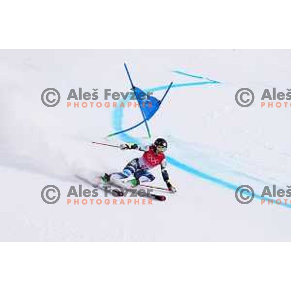 of Slovenia skiing in the second run of Women’s Giant Slalom in Yanging National Alpine Centre during Beijing 2022 Winter Olympic Games, China on February 7, 2022