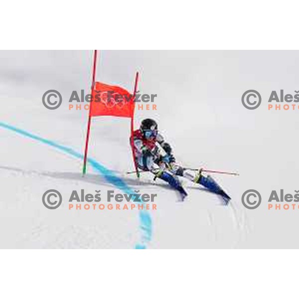 Ana Bucik of Slovenia skiing in the second run of Women’s Giant Slalom in Yanging National Alpine Centre during Beijing 2022 Winter Olympic Games, China on February 7, 2022