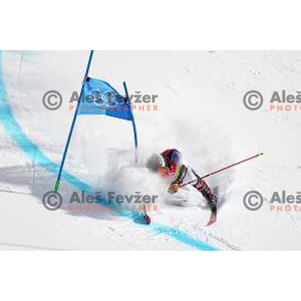 Nina O\'Brien (USA) crashed in the second run of Women’s Giant Slalom in Yanging National Alpine Centre during Beijing 2022 Winter Olympic Games, China on February 7, 2022