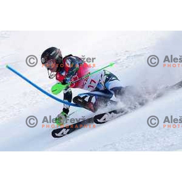 Andreja Slokar (SLO) skiing in the first run of Women\'s Slalom in Yanging National Alpine Centre, Beijing 2022 Winter Olympic Games, China on February 9, 2022