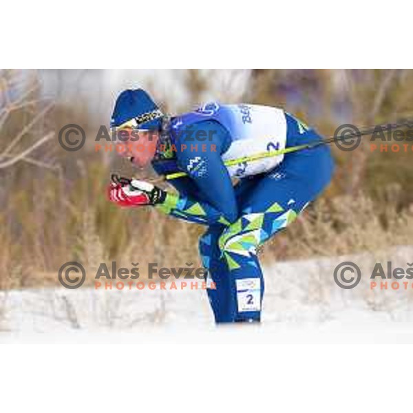 Miha Licef (SLO) competes in Men\'s Cross-Country 15 km Classic in Zhnagjiakou at Beijing 2022 Winter Olympic Games, China on February 11, 2022
