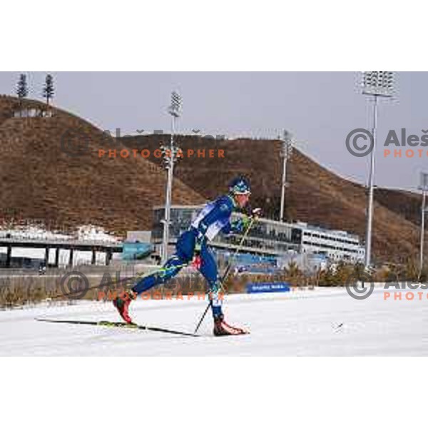 Miha Licef (SLO) competes in Men\'s Cross-Country 15 km Classic in Zhnagjiakou at Beijing 2022 Winter Olympic Games, China on February 11, 2022