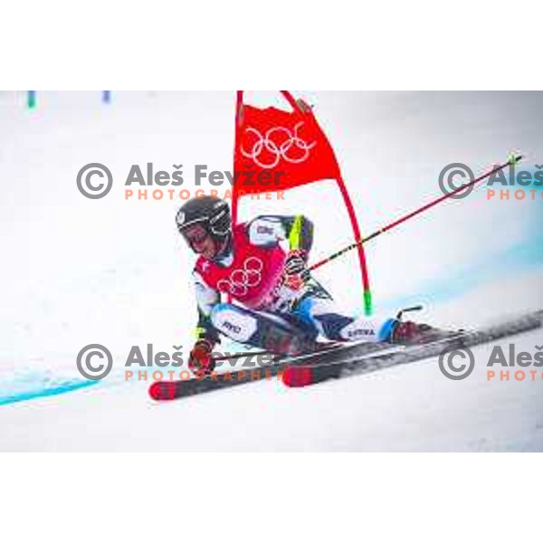Zan Kranjec (SLO), Olympic silver medalist in Men\'s Giant slalom in Yanging National Alpine Centre, Beijing 2022 Winter Olympic Games, China on February 13, 2022