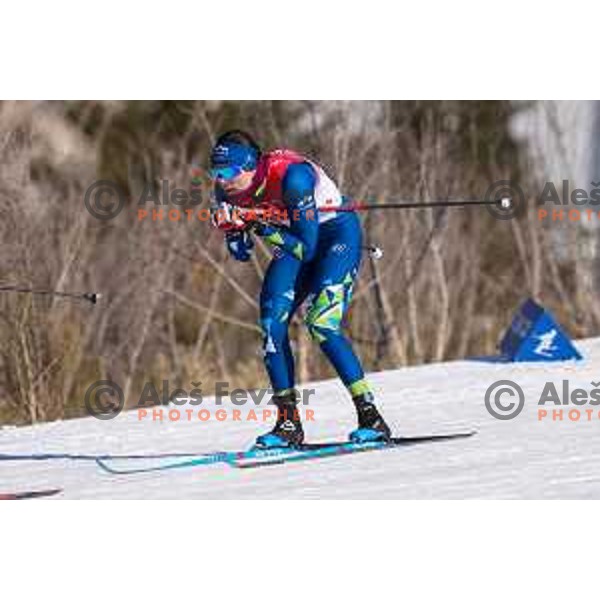 Eva Urevc (SLO) competes in Women\'s Cross Country Team Sprint Classic in Zhangjiakou venue of Beijing 2022 Winter Olympic Games, China on February 16, 2022