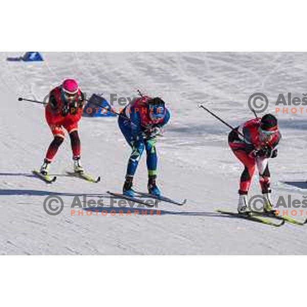 Eva Urevc (SLO) competes in Women\'s Cross Country Team Sprint Classic in Zhangjiakou venue of Beijing 2022 Winter Olympic Games, China on February 16, 2022
