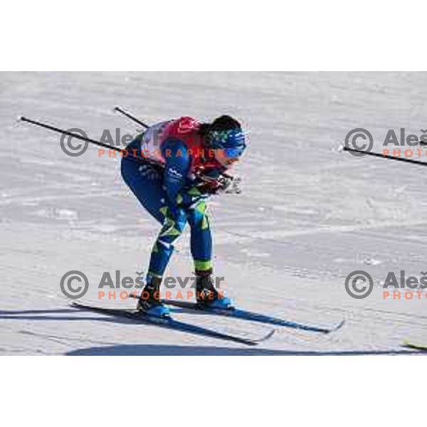 Eva Urevc (SLO) competes in Women\'s Cross Country Team Sprint Classic in Zhangjiakou venue of Beijing 2022 Winter Olympic Games, China on February 16, 2022