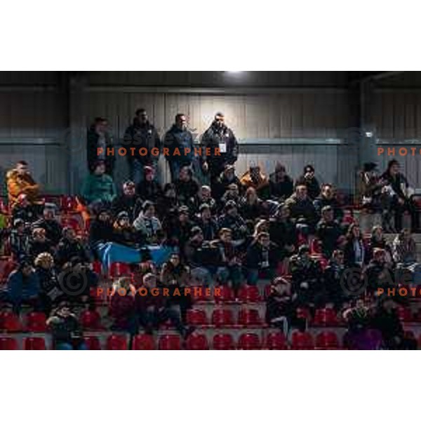 Mura supporters during Prva liga Telemach football match between Aluminij and Mura in Sportni park Kidricevo, Slovenia, on February 19, 2022. Photo: Jure Banfi/www.alesfevzer.com