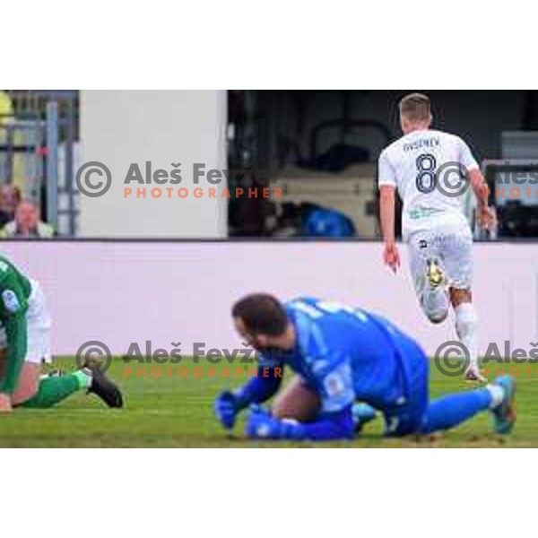 Ziga Ovsenek celebrates goal during Prva Liga Telemach 2021-2022 football match between Tabor CB 24 Sezana and Olimpija in Sezana, Slovenia on February 20, 2022 