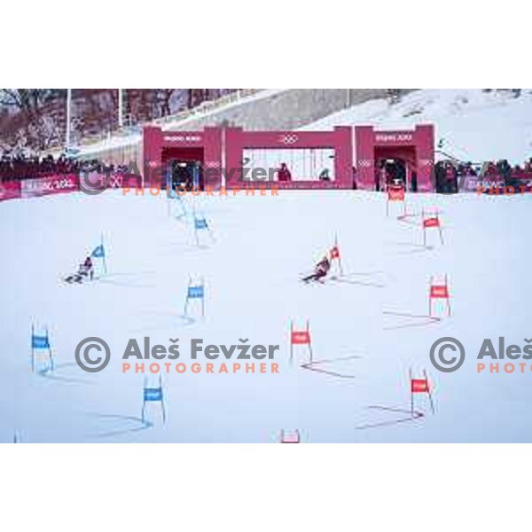 Miha Hrobat Of Slovenia competes in Mix Team Parallel race in Yanging National Alpine Centre, Beijing 2022 Winter Olympic Games, China on February 20, 2022