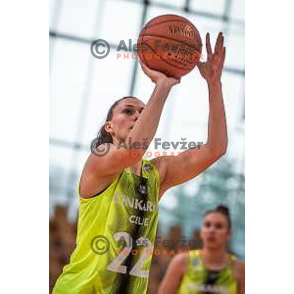 in action during Slovenian Cup semi-final basketball match between Cinkarna Celje and Grosuplje in Dvorana Lukna, Maribor, Slovenia on March 5, 2022. Photo: Jure Banfi/www.alesfevzer.com