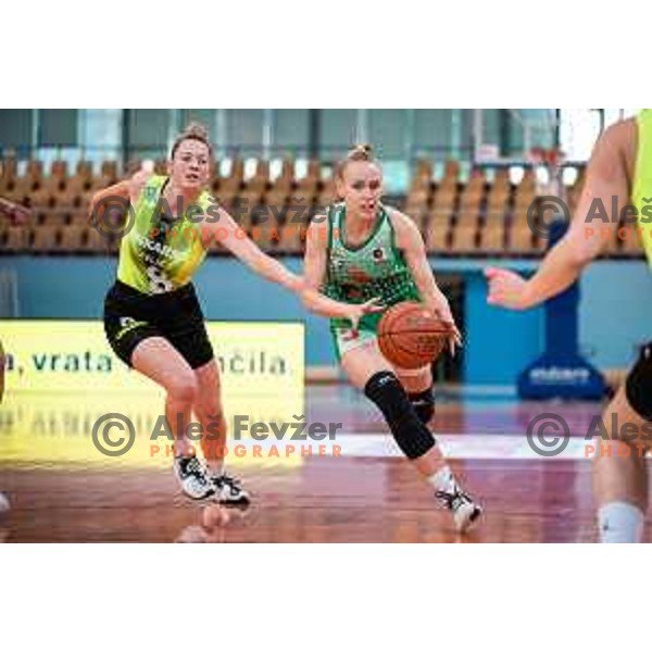 in action during Slovenian Cup semi-final basketball match between Cinkarna Celje and Grosuplje in Dvorana Lukna, Maribor, Slovenia on March 5, 2022. Photo: Jure Banfi/www.alesfevzer.com