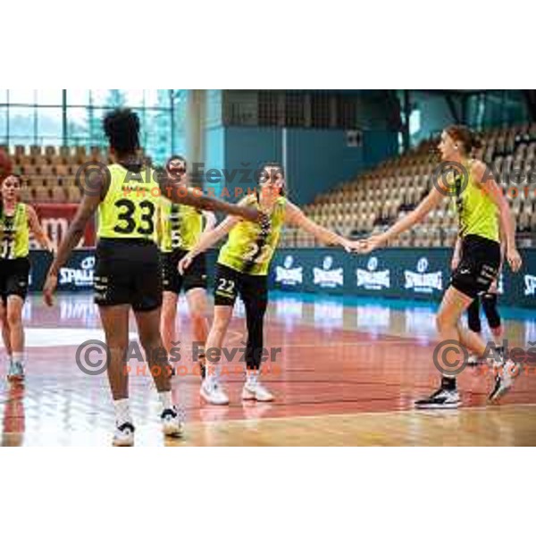 in action during Slovenian Cup semi-final basketball match between Cinkarna Celje and Grosuplje in Dvorana Lukna, Maribor, Slovenia on March 5, 2022. Photo: Jure Banfi/www.alesfevzer.com