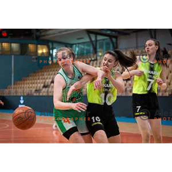 in action during Slovenian Cup semi-final basketball match between Cinkarna Celje and Grosuplje in Dvorana Lukna, Maribor, Slovenia on March 5, 2022. Photo: Jure Banfi/www.alesfevzer.com