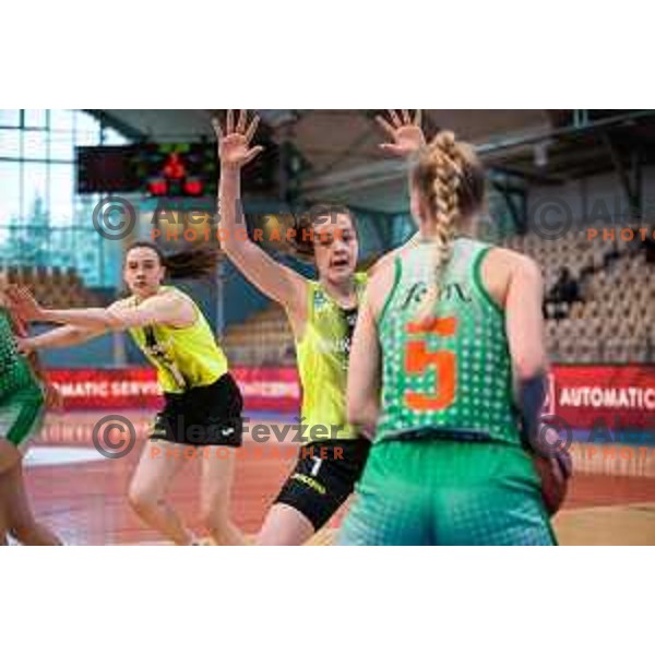 in action during Slovenian Cup semi-final basketball match between Cinkarna Celje and Grosuplje in Dvorana Lukna, Maribor, Slovenia on March 5, 2022. Photo: Jure Banfi/www.alesfevzer.com