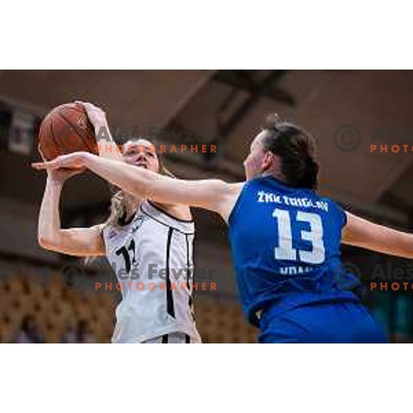 in action during Slovenian Cup semi-final basketball match between VBO Maribor and Triglav in Dvorana Lukna, Maribor, Slovenia on March 5, 2022. Photo: Jure Banfi/www.alesfevzer.com