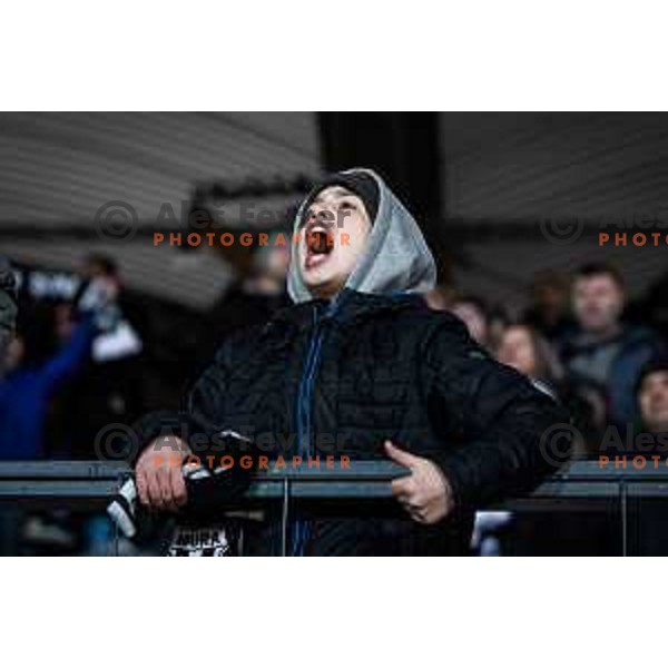 NS Mura fan in action during Prva liga Telemach football match between NS Mura and Olimpija in Fazanerija, Murska Sobota, Slovenia on March 10, 2022. Photo: Jure Banfi/www.alesfevzer.com