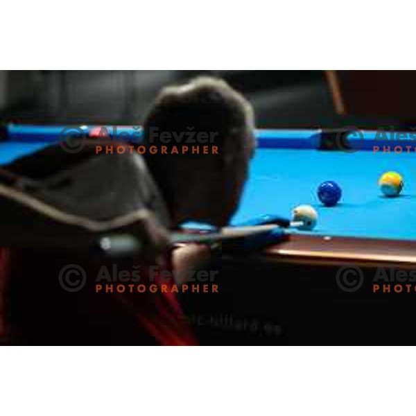 European Pool Championship presented by Dynamic Billard in Tri Lilije hall, Lasko, Slovenia on March 10, 2022