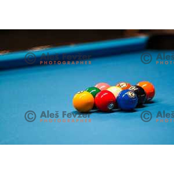 European Pool Championship presented by Dynamic Billard in Tri Lilije hall, Lasko, Slovenia on March 10, 2022