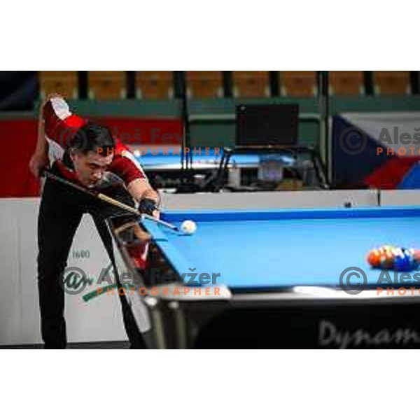 European Pool Championship presented by Dynamic Billard in Tri Lilije hall, Lasko, Slovenia on March 10, 2022