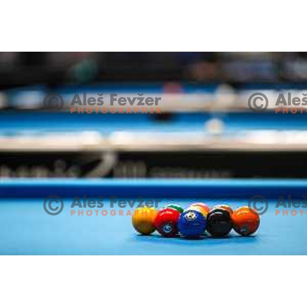 European Pool Championship presented by Dynamic Billard in Tri Lilije hall, Lasko, Slovenia on March 10, 2022