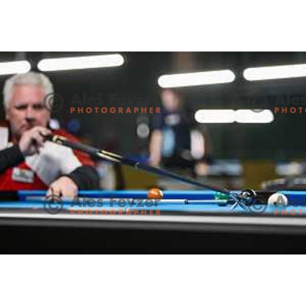 European Pool Championship presented by Dynamic Billard in Tri Lilije hall, Lasko, Slovenia on March 10, 2022