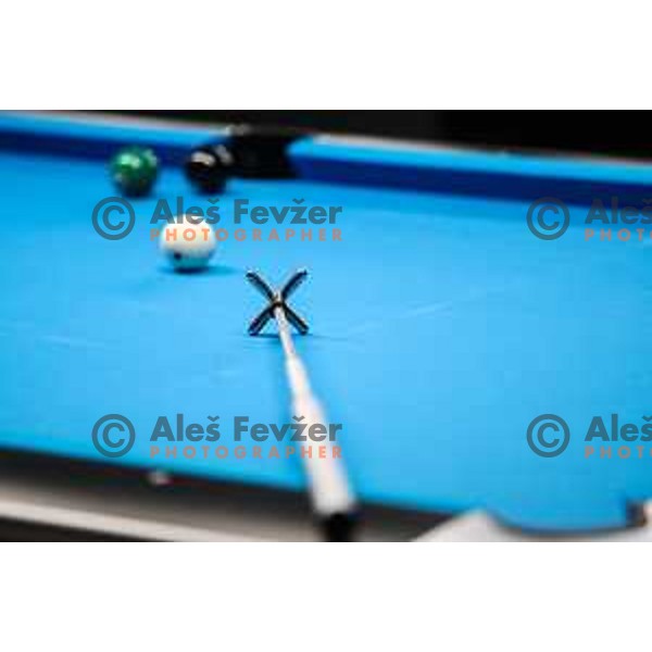 European Pool Championship presented by Dynamic Billard in Tri Lilije hall, Lasko, Slovenia on March 10, 2022