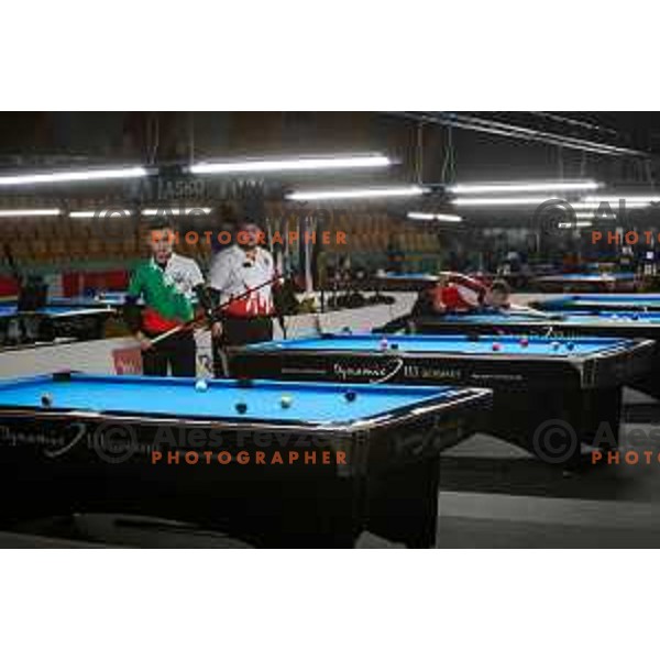 European Pool Championship presented by Dynamic Billard in Tri Lilije hall, Lasko, Slovenia on March 10, 2022