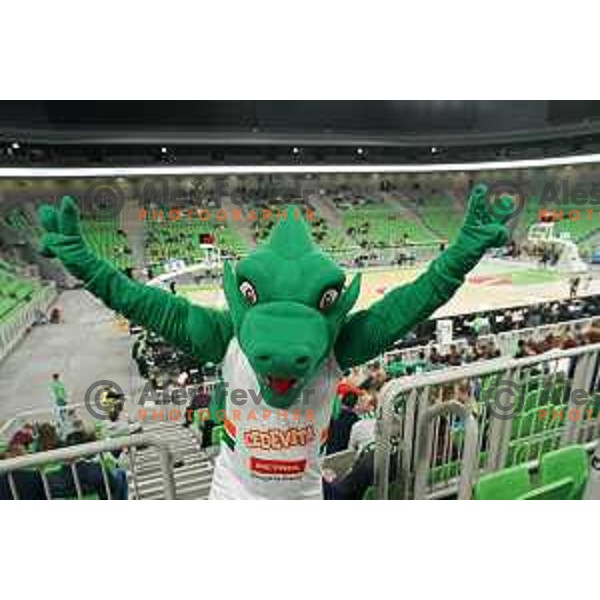 Green Dragon of Cedevita Olimpija in action during 7days EuroCup regular season basketball match between Cedevita Olimpija and Promitheas in Stozice, Arena, Ljubljana, Slovenia on March 10, 2022