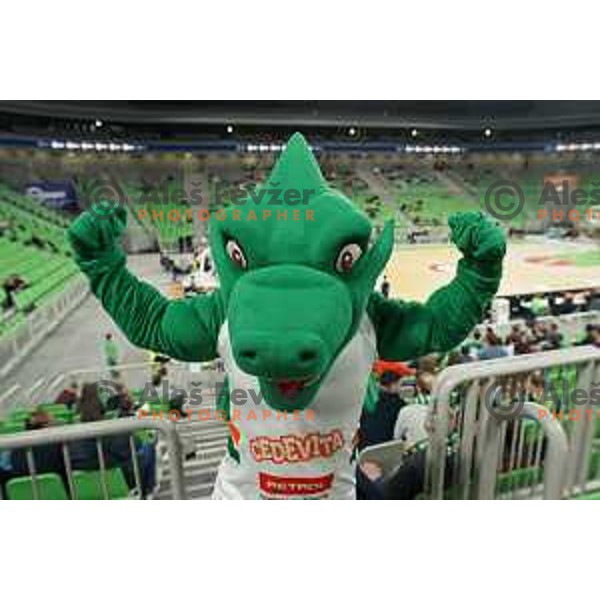 Green Dragon of Cedevita Olimpija in action during 7days EuroCup regular season basketball match between Cedevita Olimpija and Promitheas in Stozice, Arena, Ljubljana, Slovenia on March 10, 2022